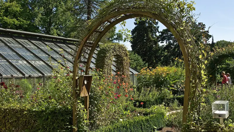 Häufige Fragen Gärtner Bern: Pflanzen und Wege im Botanischen Garten Bern an der Aare