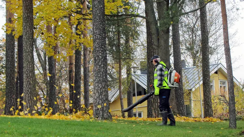 Baum nach Sturm Bern: Gärtner bläst im Herbst Laub vom Rasen
